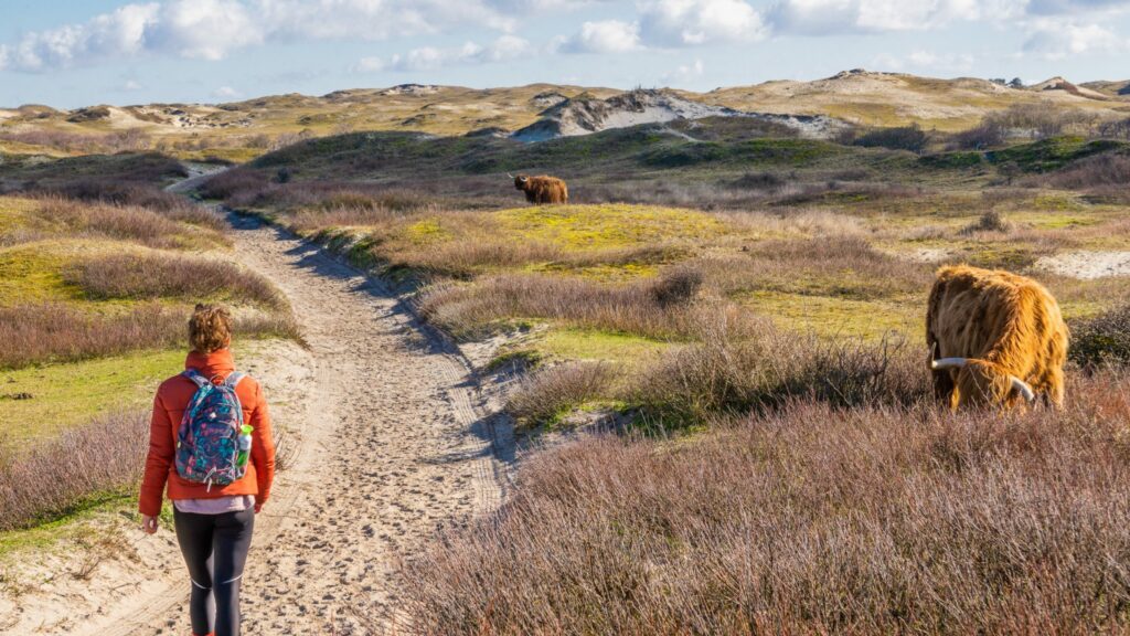 Verslag van de NS wandeling Vught naar Den Bosch