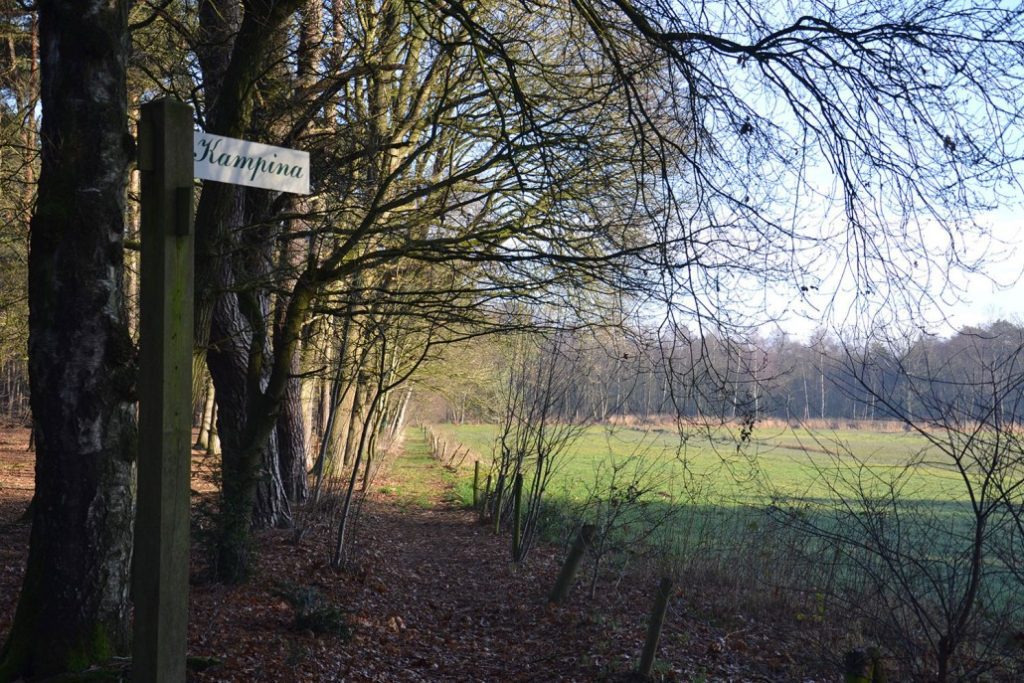 Nivon voorjaarwandeling over het Brabants Vennenpad