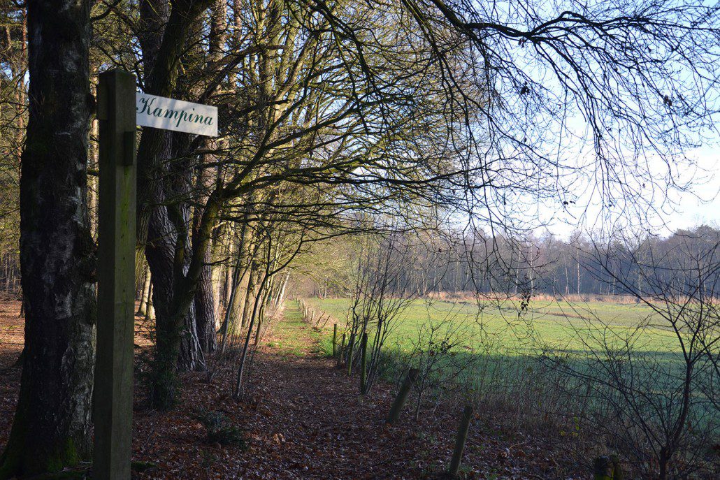 Nivon voorjaarwandeling over het Brabants Vennenpad
