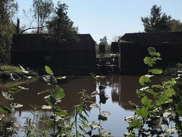Nivon 100 Herfstwandeling over het Brabants Vennenpad