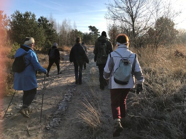 NIVON 100 Winterwandeling over het Brabants Vennenpad