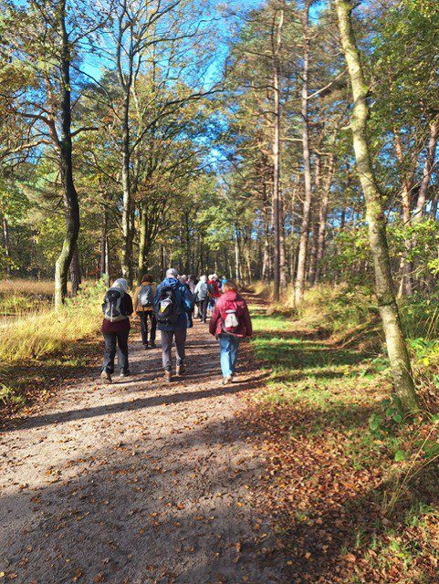 Wandelen op woensdag