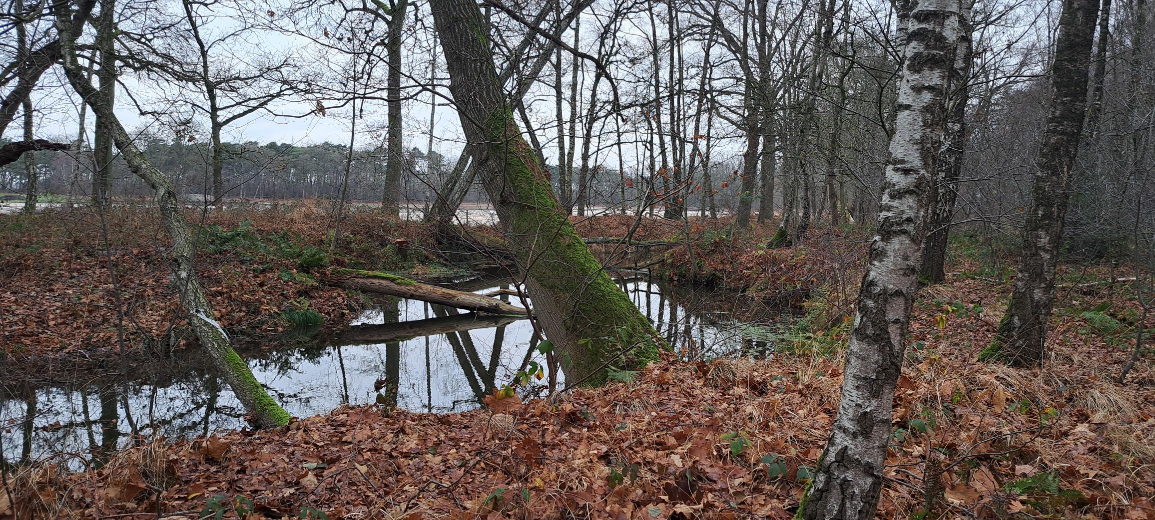  Wandel je mee, met Nivon Brabant? 