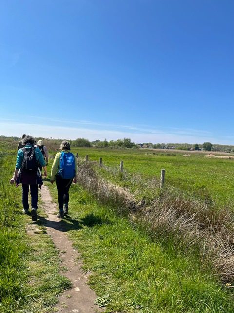 Dinsdag Wandeling NS Wandeling 9 of 10 km